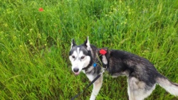 ca085575-bcfb-4d48-8210-bd2d80059db9