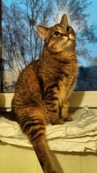 28c95650-6e10-4d37-88ca-622108c1efca