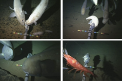 04f7bf38-7572-4608-b780-1606f2fa3337