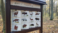 91fd5607-569d-4483-a931-8be03222e6df