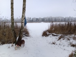 d0f392d3-ce48-4f76-a631-b465572b50ae