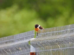 c6f0cb80-ca1f-44bf-ad25-5530009d5f24