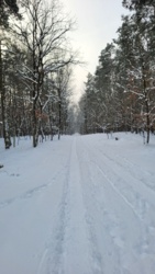 0f4eff0e-086f-4c43-9406-9ffcb12d3d34