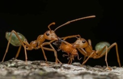 8e462bf0-c793-4871-b786-666ad64d0e8f