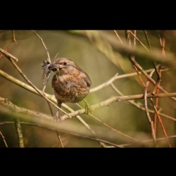 ff3c9be6-664d-4ae9-9572-a0e4853f296a