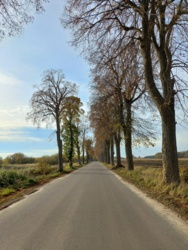 77d5995e-f0e7-4da9-8561-1cfa90b110a7