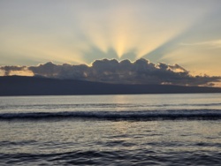 3704732c-24ce-4a0f-9f73-08cb380cbdaa