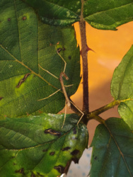 3d5e61e8-4273-4419-90cf-804a0cf8a050