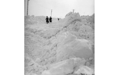 b2ed83fd-368e-42b8-b167-68fc250e261e