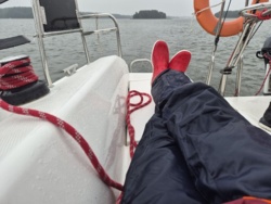 9d3f6531-0653-4744-b583-41b00b92a797