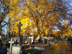 47b7cdc2-d2e0-4216-99cf-b59f66d6d4ee