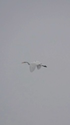 f1461ac6-2bf9-465f-8bd4-ddb7f0a01d52