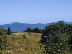 da62921d-2ea8-49f4-b84c-0c894998bde2