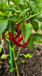 a3e3bbc3-1314-4d58-80a0-91c47f242dcd