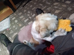 01dac915-ef91-481d-8b03-45ce7c216229