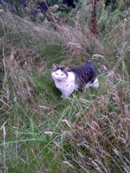 4add6770-0473-4a48-9588-e4c078da5b87