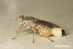 912da5b3-fcc0-4cf1-80b9-3cd1d27a9cbc