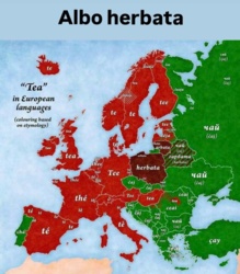 7611614c-3bef-4dc6-9030-e76a05f0b2e5