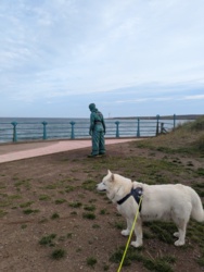 04be2162-ce64-4121-a0e2-51d70d2e21c9