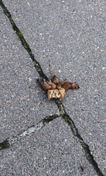 958441fb-2878-4ca5-ad06-85e5a853c5fc