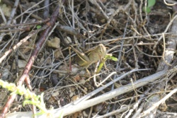 315e8ee1-34fe-4651-9c22-58d4cd7ca44e