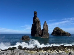 06bf9c9c-0ad1-406d-939e-f20a010e833d