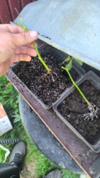 a5909c15-5480-4598-a9c8-6cf77807ad21