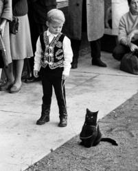 0af27ff2-f43f-4055-b60b-244a3457ce69