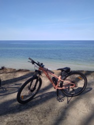 d2582bbb-2a1d-47ab-9f69-d9d365c8ad64