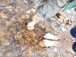 59a83638-d854-4e2b-b24a-675396b76dda