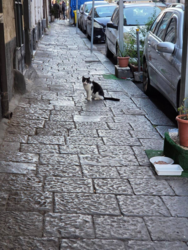 045cefba-246e-4764-a544-5155dc414af0