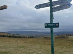 77391b63-d5c7-44b4-930f-76944954d84f