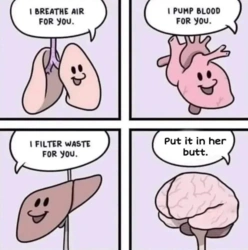 bffe9bf4-4fdb-478d-ab50-42717365aeb9