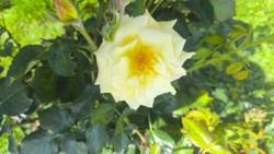 7bf64edb-38e1-43ac-bae1-277868c0200a