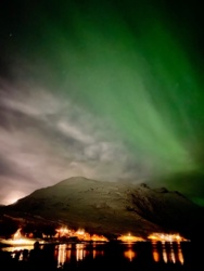 24d3db0e-ddf1-430a-8408-b3d15a4ca5d1