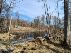 5885dee3-a050-4b49-9926-bd182bd17dc5