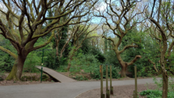 378a5c10-9650-420b-b762-fa3903238f79