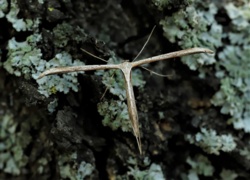 02be3a13-2698-4625-8e84-19b61e5eba45