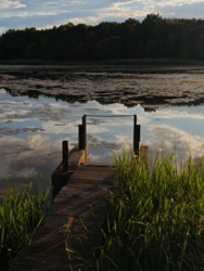 cd4cca02-1314-4f9f-aba7-9008afd7480d