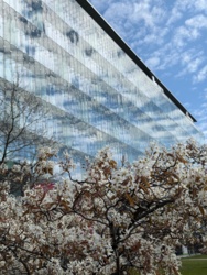 ee15f21f-6184-4f66-8fc1-d09d6aacd7df