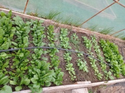 01ed52bf-bb5a-4f96-a419-53731c14e84c