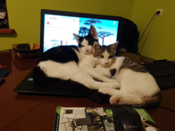 9447063f-b052-4d72-99b5-5047063a0e76