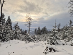 5569a9d4-da4c-428a-9456-f9cd36ceb1b7