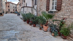 70d8b874-a43d-496c-bd23-2b8a8a30000a