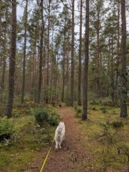 c14e9798-a8bc-47d0-935a-771bf231f315