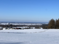 ee95d745-dee5-403a-b81e-7867bd42b452