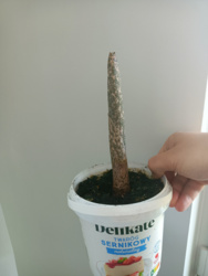 200a4351-6799-4c65-9f71-9edc6dea31cb