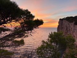 69792b7b-9966-49de-b7b9-bfa96edd6099