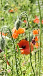 25a9928b-a1cb-4744-8649-3303d6bf99af