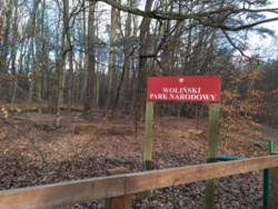 bf803db8-1c34-49ac-a61d-a9fd01b3ec92